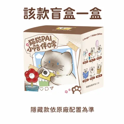 小陪伴日常盲盒