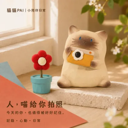 人，喵給你拍照 拆盒確認款