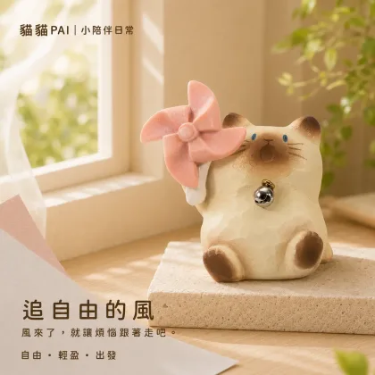 追自由的風 拆盒確認款